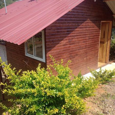 Mario'S Lodge Providencia Copey Bagian luar foto