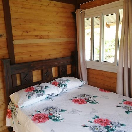 Mario'S Lodge Providencia Copey Bagian luar foto