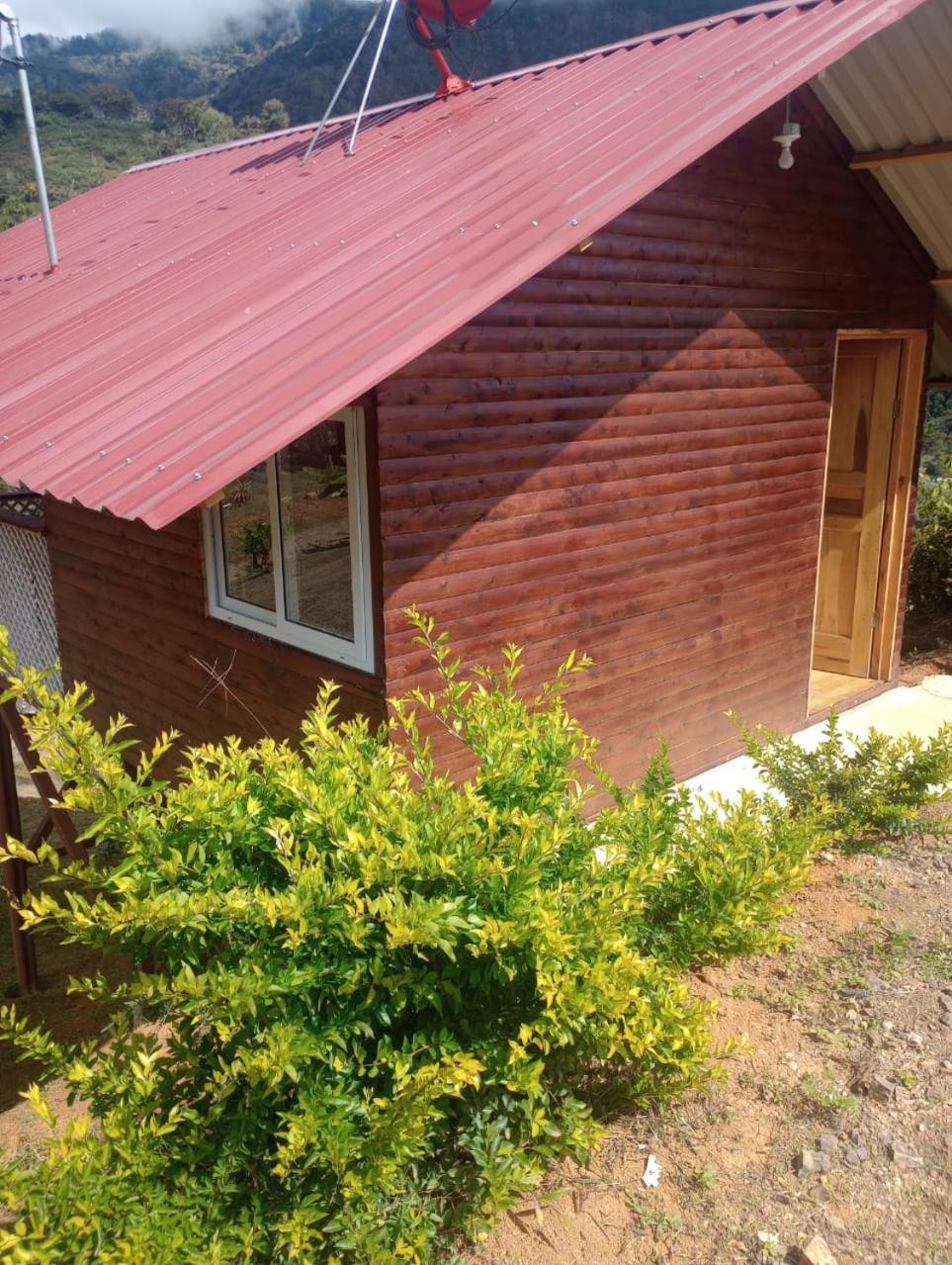 Mario'S Lodge Providencia Copey Bagian luar foto