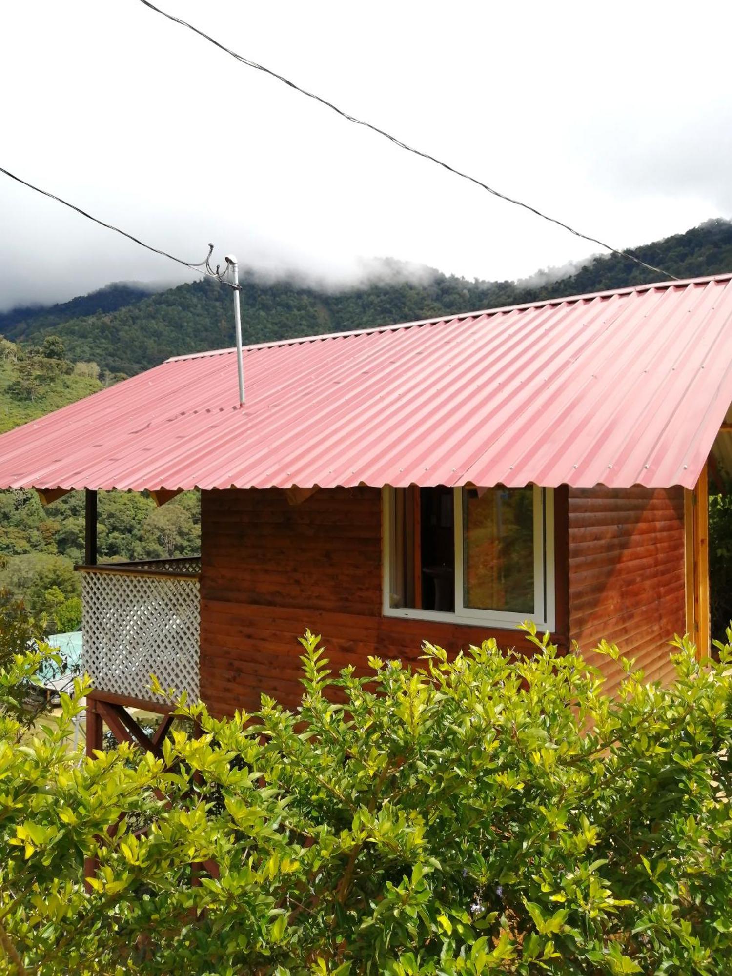 Mario'S Lodge Providencia Copey Bagian luar foto
