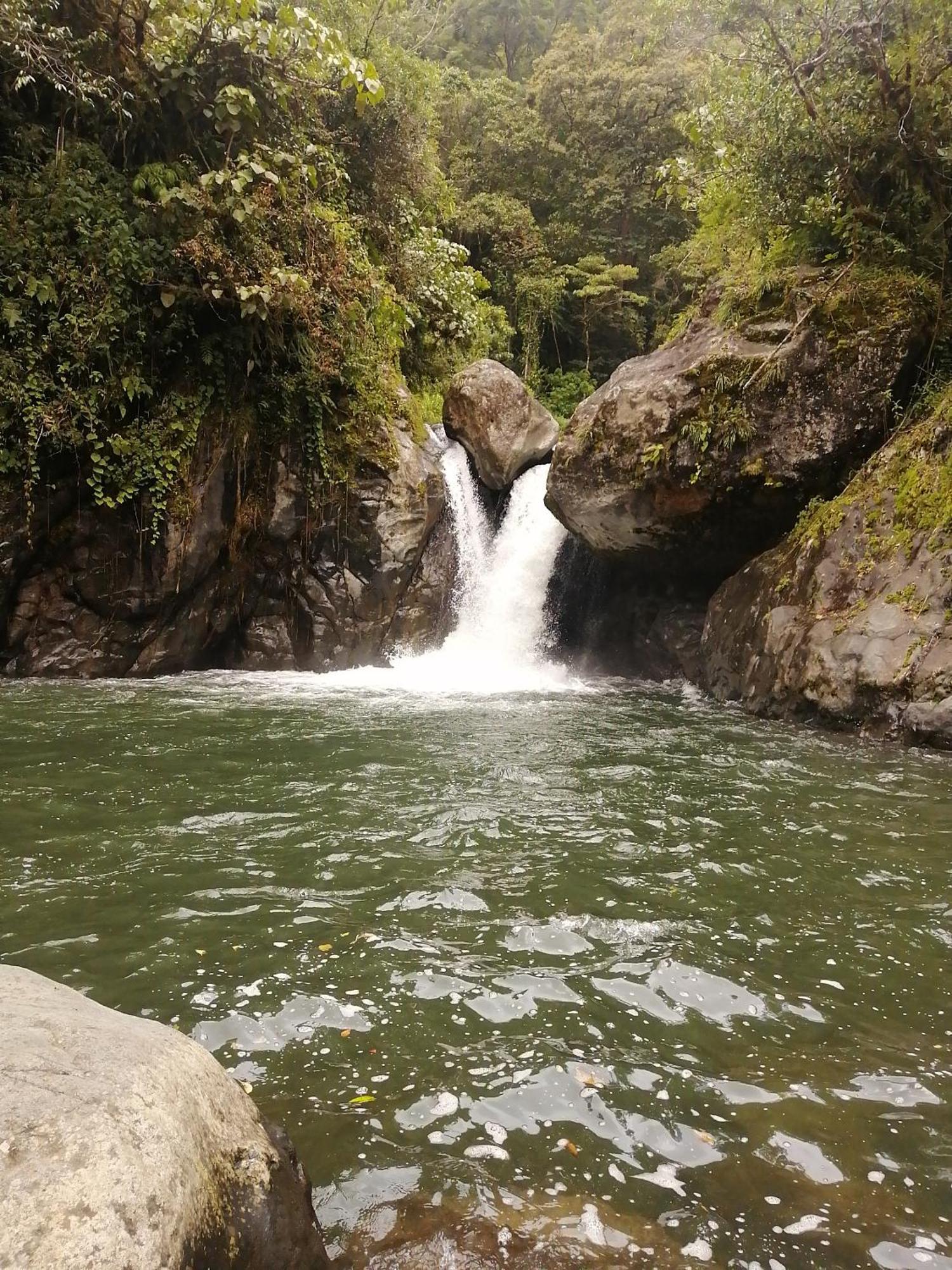 Mario'S Lodge Providencia Copey Bagian luar foto